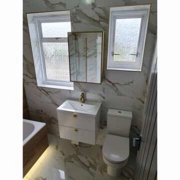 Mia Matt Brass Mirror Cabinet 710x500mm