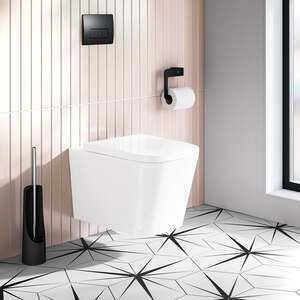 Wall Hung Toilets