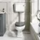 Hudson Traditional Toilet With Low-Level Cistern and Dove Grey Wooden Seat