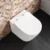 Boston Rimless Back To Wall Toilet With Premium Soft Close Slim Seat and Concealed Cistern