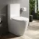 Utah Rimless Close Coupled Toilet With Premium Soft Close Seat