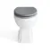 Hudson Traditional Back To Wall Toilet With Dove Grey Wooden Seat - Brushed Brass Hinges