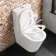 Boston Rimless Fully Back To Wall Close Coupled Toilet With Premium Soft Close Seat