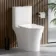 Tucson Rimless Close Coupled Toilet With Premium Soft Close Seat