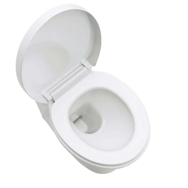 Austin Back To Wall Toilet With Soft Close Seat