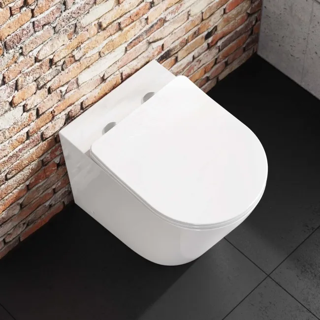 Boston Rimless Back To Wall Toilet With Premium Soft Close Slim Seat and Concealed Cistern