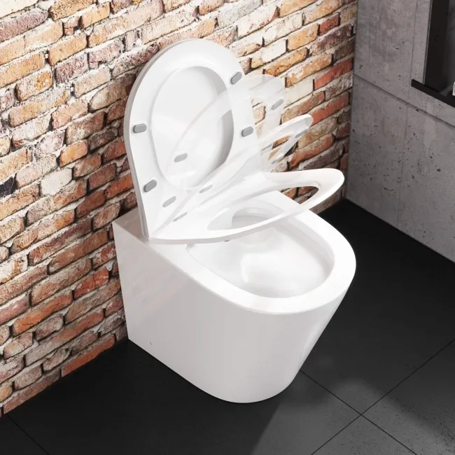 Boston Rimless Back To Wall Toilet With Premium Soft Close Slim Seat and Concealed Cistern