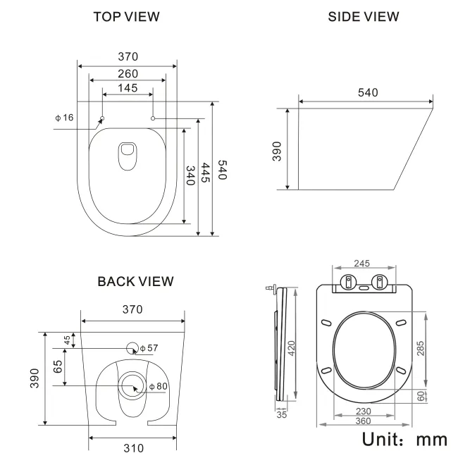 Boston Rimless Back To Wall Toilet With Premium Soft Close Slim Seat and Concealed Cistern
