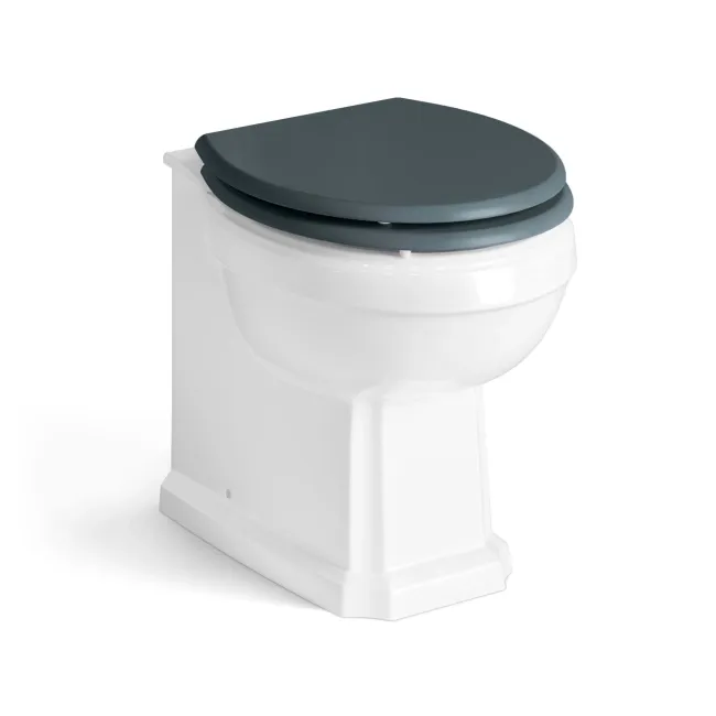 Hudson Traditional Back To Wall Toilet With Inky Blue Wooden Seat - Brushed Brass Hinges