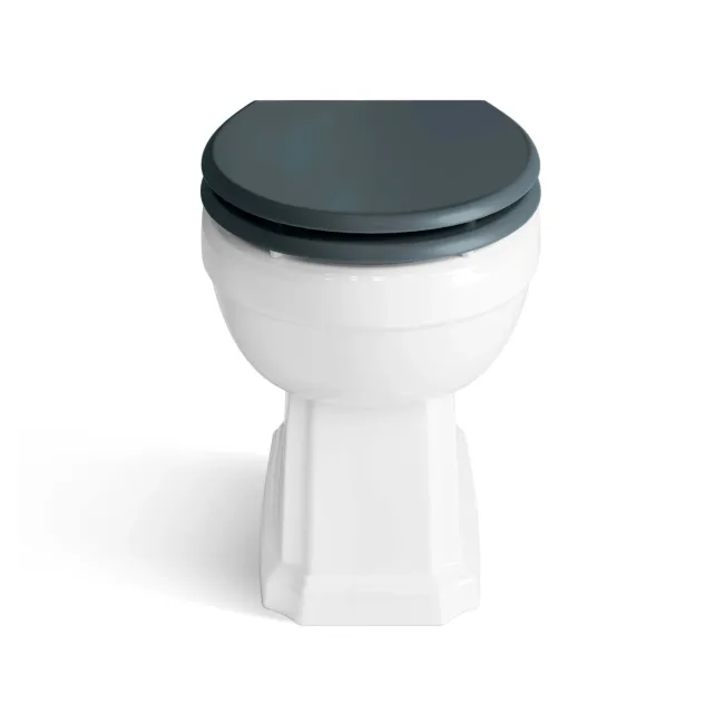 Hudson Traditional Back To Wall Toilet With Inky Blue Wooden Seat - Brushed Brass Hinges