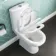Seattle Soft Close Toilet Seat for Close Coupled Toilet