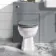 Hudson Traditional Back To Wall Toilet With Dove Grey Wooden Seat