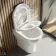 Troy Rimless Comfort Height Back To Wall Toilet With Premium Soft Close Seat