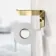 Remi Easy Fix Brushed Brass Toilet Roll Holder with Shelf