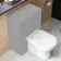Aruba Rimless Back To Wall Toilet With Soft Close Seat