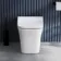 Houston Rimless Back To Wall Toilet With Premium Soft Close Seat