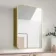 Olivia Matt Brass Mirror Cabinet 710x500mm