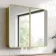 Olivia Matt Brass Mirror Cabinet 710x800mm
