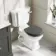 Hudson Traditional Close Coupled Toilet With Graphite Grey Wooden Seat