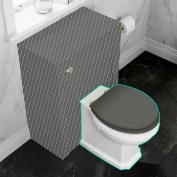 Hudson Traditional Back To Wall Toilet With Graphite Grey Wooden Seat - Brushed Brass Hinges
