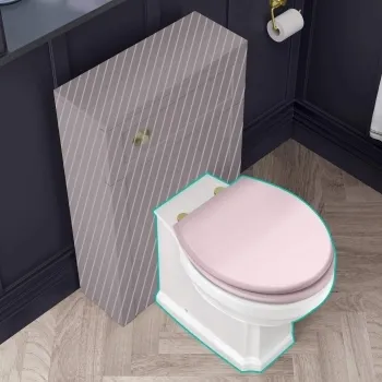 Hudson Traditional Back To Wall Toilet With Cashmere Pink Wooden Seat - Brushed Brass Hinges