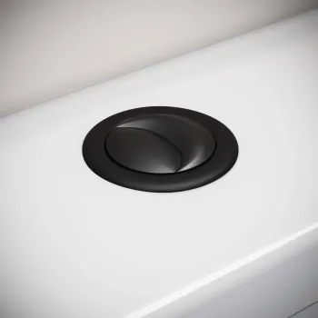 Matt Black Oval Cistern Flush Button