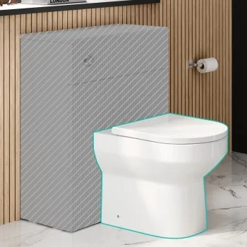 Miami Rimless Back To Wall Toilet With Soft Close Seat