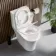 Tucson Quick Release Premium Soft Close Toilet Seat