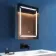 Haisley Cloakroom Illuminated LED Mirror Cabinet 600x450mm