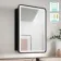 Olivia Black Framed Illuminated LED Mirror Cabinet 710x500mm