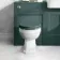 Hudson Traditional Back To Wall Toilet With Midnight Green Wooden Seat