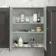 Graphite Grey Wall Hung Mirror Cabinet 700x600mm
