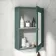 Midnight Green Mirror Cabinet 700x500mm