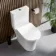 Tucson Rimless Close Coupled Toilet With Premium Soft Close Seat
