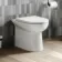 Aruba Rimless Back To Wall Toilet With Soft Close Seat