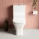 Boise Rimless Close Coupled Toilet With Soft Close Seat