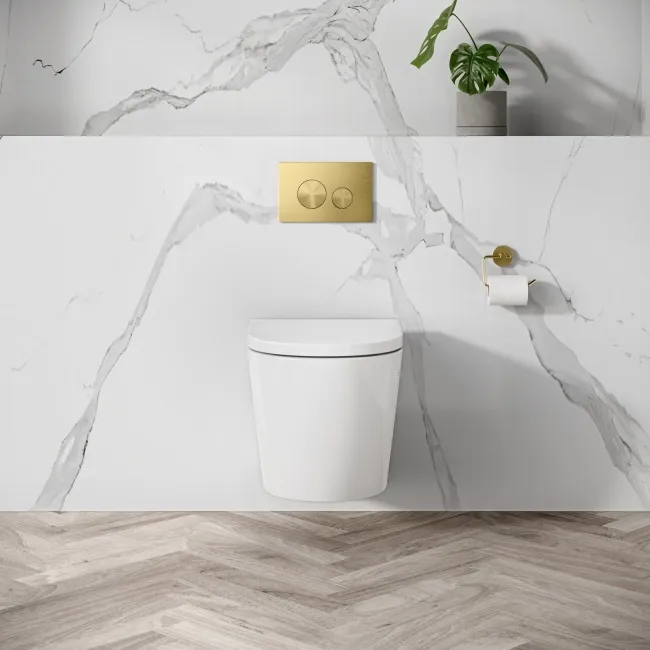 Idaho Pneumatic Top & Front Compact Wall Hung Toilet Frame and Concealed Cistern with Brushed Brass Flush Plate - Round Buttons