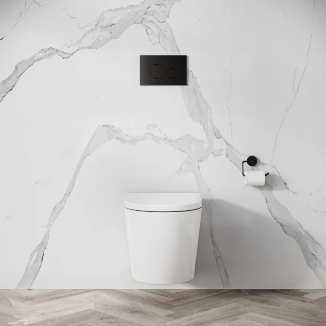 Idaho Pneumatic Wall Hung Toilet Frame and Concealed Cistern with Matt Black Flush Plate - Round Buttons