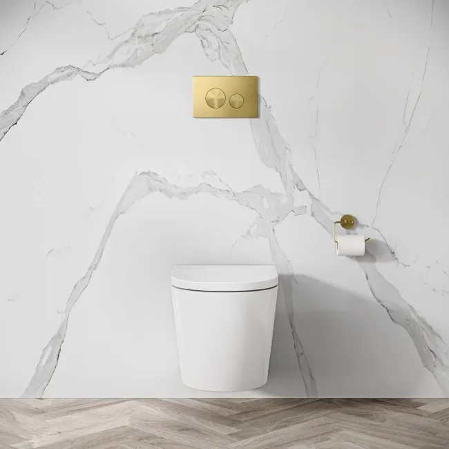 Idaho Pneumatic Wall Hung Toilet Frame and Concealed Cistern with Brushed Brass Flush Plate - Round Buttons