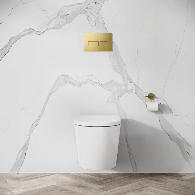 Idaho Pneumatic Wall Hung Toilet Frame and Concealed Cistern with Brushed Brass Flush Plate - Square Buttons