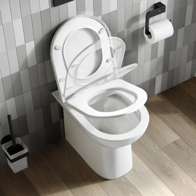 Aruba Rimless Back To Wall Toilet With Soft Close Seat