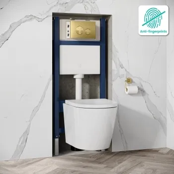 Idaho Pneumatic Wall Hung Toilet Frame and Concealed Cistern with Brushed Brass Flush Plate - Round Buttons