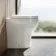 Troy Rimless Comfort Height Back To Wall Toilet With Premium Soft Close Seat