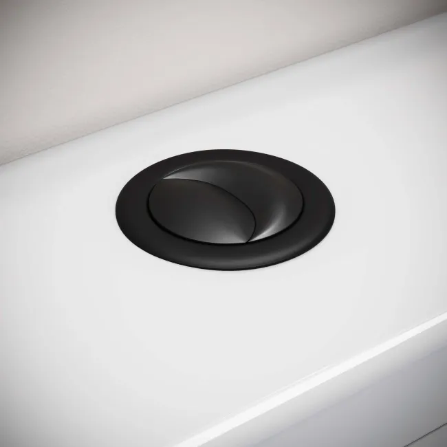 Matt Black Oval Cistern Flush Button