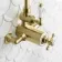 Shannon Brushed Brass Traditional Thermostatic Shower Set