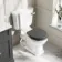 Hudson Traditional Close Coupled Toilet With Graphite Grey Wooden Seat