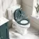 Hudson Traditional Close Coupled Toilet With Midnight Green Wooden Seat