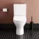 Orlando Rimless Fully Back to Wall Close Coupled Toilet With Soft Close Seat