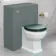 Hudson Traditional Back To Wall Toilet With Midnight Green Wooden Seat - Brushed Brass Hinges