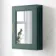 Midnight Green Mirror Cabinet 700x500mm - Brass Knurled Handles